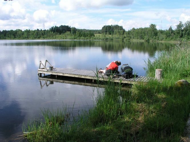 Maakond: Valgamaa Veekogu nimi: Päidla Suurjärv Pildistamise aeg: 11. mai 2005 Pildistaja: H. Timm Pildistamise koht: teadmata Asimuut: