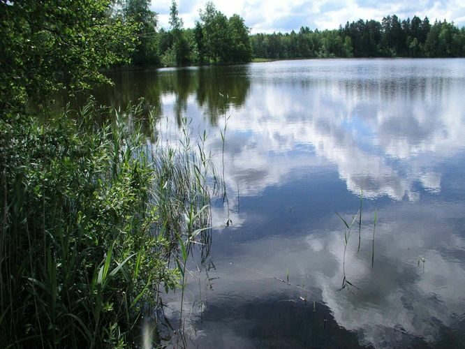 Maakond: Valgamaa Veekogu nimi: Päidla Suurjärv Pildistamise aeg: 11. mai 2005 Pildistaja: H. Timm Pildistamise koht: teadmata Asimuut: