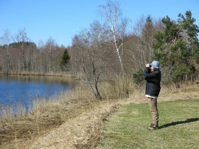 Maakond: Valgamaa Veekogu nimi: Päidla Suurjärv Pildistamise aeg: 1. mai 2013 Pildistaja: H. Timm Pildistamise koht: teadmata Asimuut: