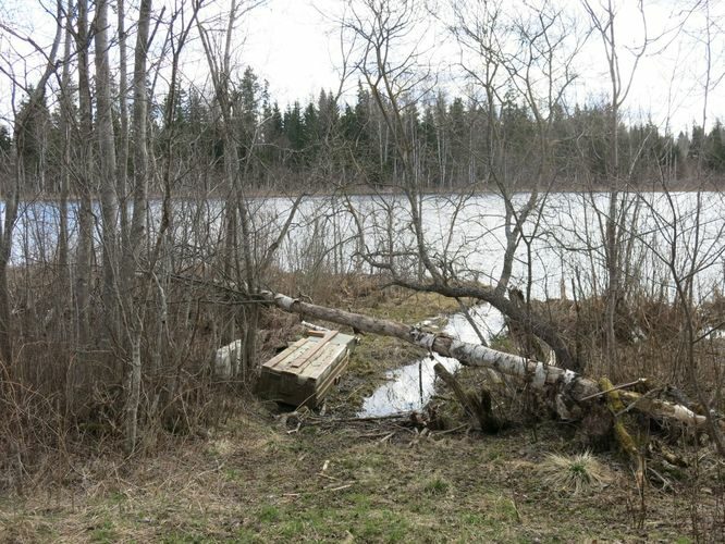 Maakond: Valgamaa Veekogu nimi: Päidla Uibujärv Pildistamise aeg: 1. mai 2013 Pildistaja: H. Timm Pildistamise koht: teadmata Asimuut: