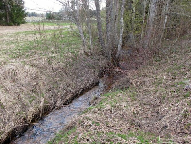 Maakond: Valgamaa Veekogu nimi: Palu oja Pildistamise aeg: 1. mai 2011 Pildistaja: H. Timm Pildistamise koht: Otepää - Rõngu tee Asimuut: