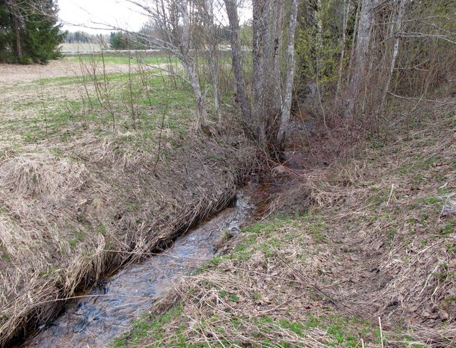 Maakond: Valgamaa Veekogu nimi: Palu oja Pildistamise aeg: 1. mai 2011 Pildistaja: H. Timm Pildistamise koht: Otepää - Rõngu tee Asimuut: