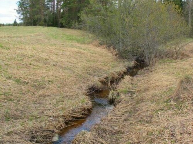 Maakond: Valgamaa Veekogu nimi: Palu oja Pildistamise aeg: 1. mai 2011 Pildistaja: H. Timm Pildistamise koht: Otepää - Rõngu tee Asimuut: