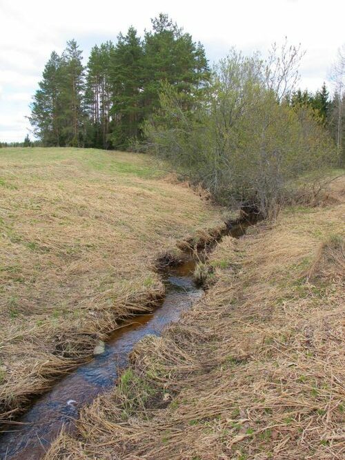 Maakond: Valgamaa Veekogu nimi: Palu oja Pildistamise aeg: 1. mai 2011 Pildistaja: H. Timm Pildistamise koht: Otepää - Rõngu tee Asimuut: