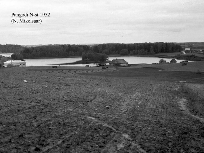 Maakond: Tartumaa Veekogu nimi: Pangodi järv Pildistamise aeg: 1952 Pildistaja: N. Mikelsaar Pildistamise koht: NE otsast Asimuut: SW