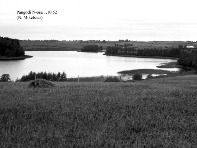 Maakond: Tartumaa Veekogu nimi: Pangodi järv Pildistamise aeg: 1. oktoober 1952 Pildistaja: N. Mikelsaar Pildistamise koht: N osa, E kalda kaela juurest Asimuut: NNW