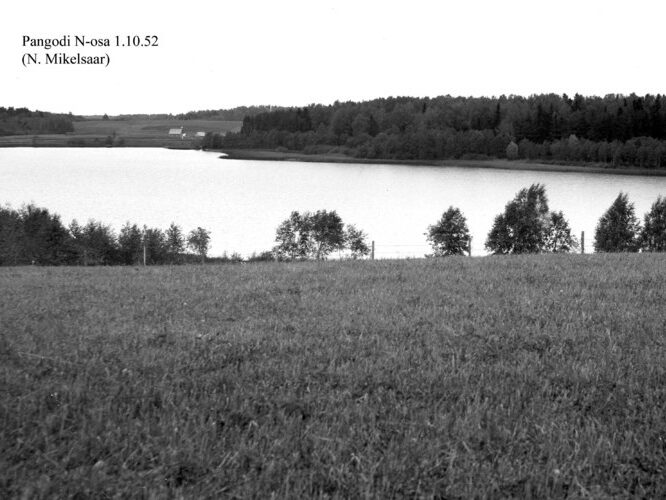 Maakond: Tartumaa Veekogu nimi: Pangodi järv Pildistamise aeg: 1. oktoober 1952 Pildistaja: N. Mikelsaar Pildistamise koht: N osa Asimuut: