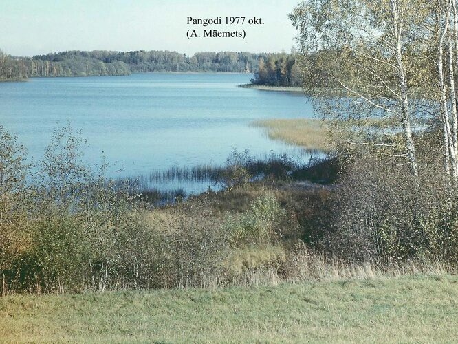 Maakond: Tartumaa Veekogu nimi: Pangodi järv Pildistamise aeg: oktoober 1977 Pildistaja: A. Mäemets Pildistamise koht: teadmata Asimuut: