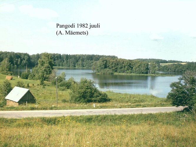 Maakond: Tartumaa Veekogu nimi: Pangodi järv Pildistamise aeg: juuli 1982 Pildistaja: A. Mäemets Pildistamise koht: teadmata Asimuut: