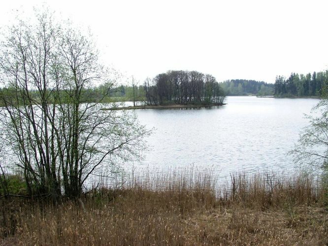 Maakond: Tartumaa Veekogu nimi: Pangodi järv Pildistamise aeg: 5. mai 2004 Pildistaja: H. Timm Pildistamise koht: teadmata Asimuut: