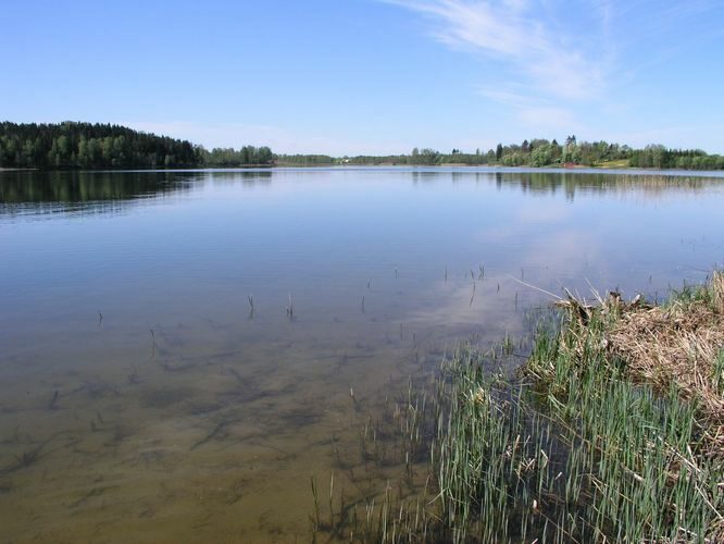 Maakond: Tartumaa Veekogu nimi: Pangodi järv Pildistamise aeg: 17. mai 2007 Pildistaja: H. Timm Pildistamise koht: Pikksaarelt S Asimuut: