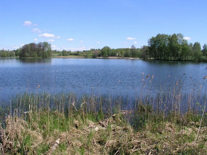 Maakond: Tartumaa Veekogu nimi: Pangodi järv Pildistamise aeg: 17. mai 2007 Pildistaja: H. Timm Pildistamise koht: Pikksaarelt S Asimuut: