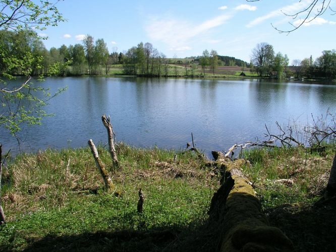 Maakond: Tartumaa Veekogu nimi: Pangodi järv Pildistamise aeg: 17. mai 2007 Pildistaja: H. Timm Pildistamise koht: Pikksaarelt S Asimuut: