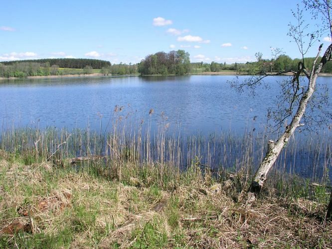 Maakond: Tartumaa Veekogu nimi: Pangodi järv Pildistamise aeg: 17. mai 2007 Pildistaja: H. Timm Pildistamise koht: Pikksaarelt S Asimuut: