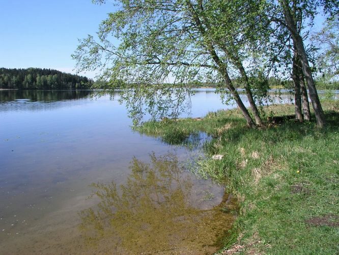 Maakond: Tartumaa Veekogu nimi: Pangodi järv Pildistamise aeg: 17. mai 2007 Pildistaja: H. Timm Pildistamise koht: Pikksaarelt S Asimuut: