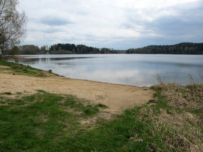 Maakond: Tartumaa Veekogu nimi: Pangodi järv Pildistamise aeg: 4. mai 2011 Pildistaja: H. Timm Pildistamise koht: teadmata Asimuut: