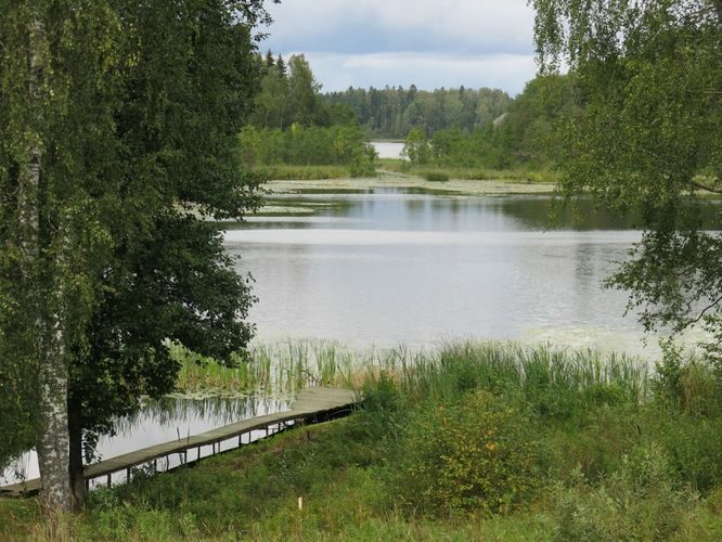 Maakond: Tartumaa Veekogu nimi: Pangodi järv Pildistamise aeg: 29. august 2014 Pildistaja: H. Timm Pildistamise koht: Hurda laht Asimuut: