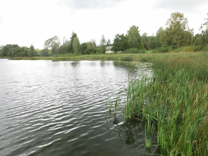 Maakond: Tartumaa Veekogu nimi: Pangodi järv Pildistamise aeg: 29. august 2014 Pildistaja: H. Timm Pildistamise koht: teadmata Asimuut: