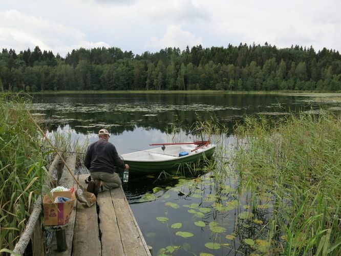 Maakond: Tartumaa Veekogu nimi: Pangodi järv Pildistamise aeg: 29. august 2014 Pildistaja: H. Timm Pildistamise koht: Hurda laht Asimuut: