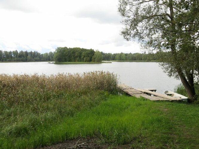 Maakond: Tartumaa Veekogu nimi: Pangodi järv Pildistamise aeg: 29. august 2014 Pildistaja: H. Timm Pildistamise koht: teadmata Asimuut: