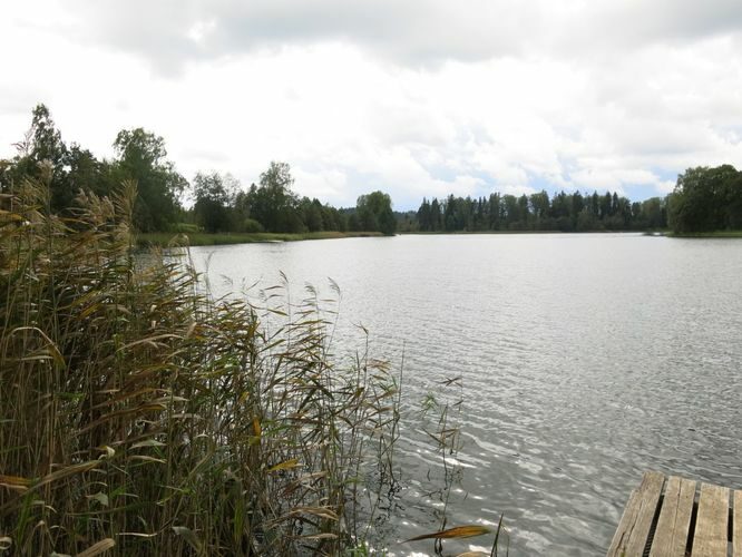 Maakond: Tartumaa Veekogu nimi: Pangodi järv Pildistamise aeg: 29. august 2014 Pildistaja: H. Timm Pildistamise koht: teadmata Asimuut: