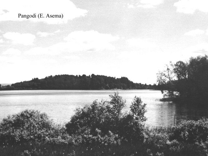 Maakond: Tartumaa Veekogu nimi: Pangodi järv Pildistamise aeg: teadmata Pildistaja: E. Asema (Eesti Looduse arhiiv) Pildistamise koht: teadmata Asimuut: