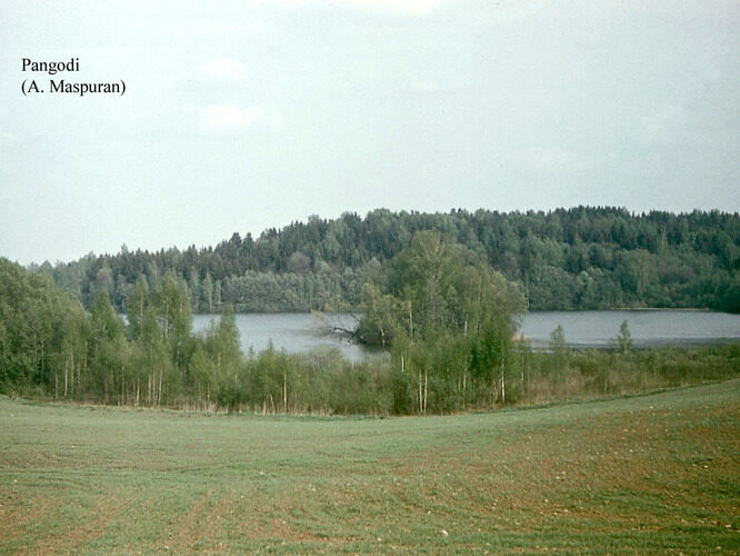 Maakond: Tartumaa Veekogu nimi: Pangodi järv Pildistamise aeg: teadmata Pildistaja: A. Maspuran Pildistamise koht: teadmata Asimuut: