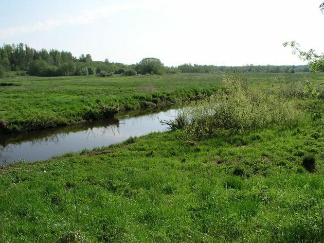 Maakond: Valgamaa Veekogu nimi: Pedeli jõgi Pildistamise aeg: 22. mai 2007 Pildistaja: H. Timm Pildistamise koht: alamjooks Asimuut: