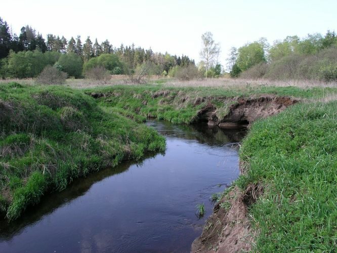 Maakond: Valgamaa Veekogu nimi: Pedeli jõgi Pildistamise aeg: 22. mai 2007 Pildistaja: H. Timm Pildistamise koht: Jaanikese Asimuut: