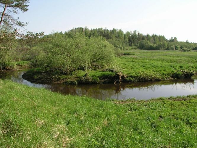 Maakond: Valgamaa Veekogu nimi: Pedeli jõgi Pildistamise aeg: 22. mai 2007 Pildistaja: H. Timm Pildistamise koht: alamjooks Asimuut: