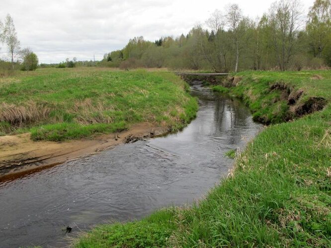 Maakond: Valgamaa Veekogu nimi: Pedeli jõgi Pildistamise aeg: 7. mai 2012 Pildistaja: H. Timm Pildistamise koht: Jaanikese Asimuut: