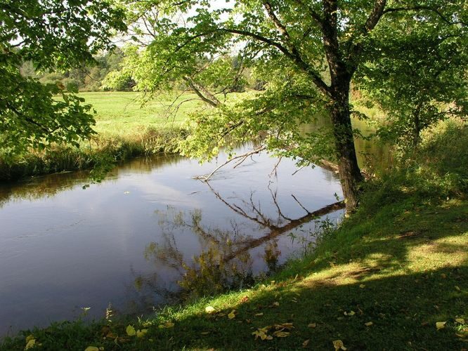 Maakond: Tartumaa Veekogu nimi: Pedja jõgi Pildistamise aeg: 9. september 2009 Pildistaja: H. Timm Pildistamise koht: Kirna laagrikoht Asimuut: