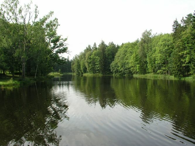 Maakond: Tartumaa Veekogu nimi: Peeda jõgi Pildistamise aeg: august 2008 Pildistaja: H. Timm Pildistamise koht: Suure-Kambja paisjärv Asimuut: