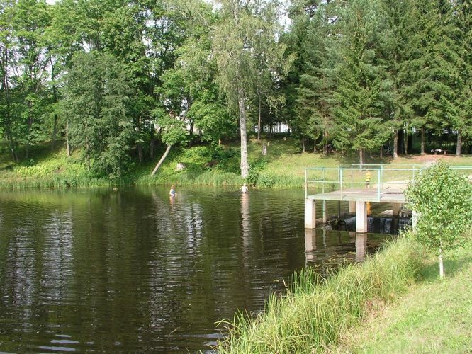 Maakond: Tartumaa Veekogu nimi: Peeda jõgi Pildistamise aeg: august 2008 Pildistaja: H. Timm Pildistamise koht: Suure-Kambja paisjärv Asimuut: