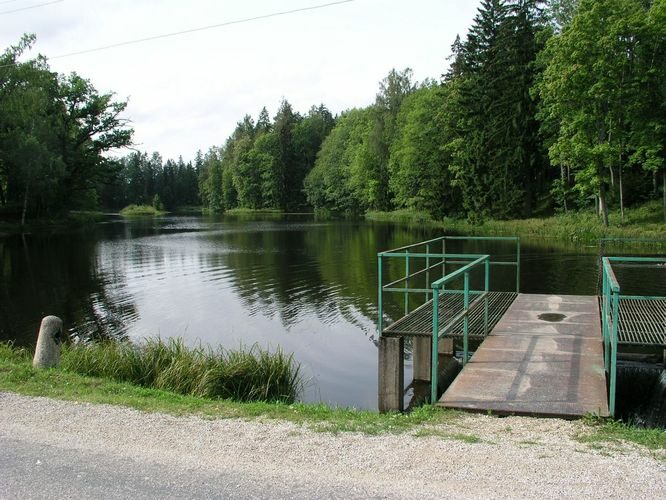 Maakond: Tartumaa Veekogu nimi: Peeda jõgi Pildistamise aeg: august 2008 Pildistaja: H. Timm Pildistamise koht: Suure-Kambja paisjärv Asimuut: