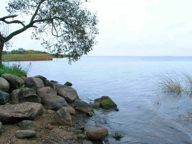 Maakond: Tartumaa Veekogu nimi: Peipsi järv Pildistamise aeg: 7. oktoober 2004 Pildistaja: H. Timm Pildistamise koht: Mehikoorma Asimuut: