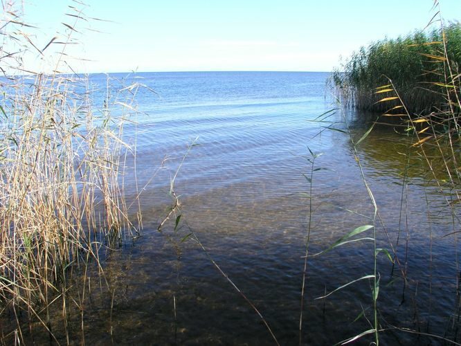 Maakond: Tartumaa Veekogu nimi: Peipsi järv Pildistamise aeg: 5. oktoober 2005 Pildistaja: H. Timm Pildistamise koht: teadmata Asimuut: