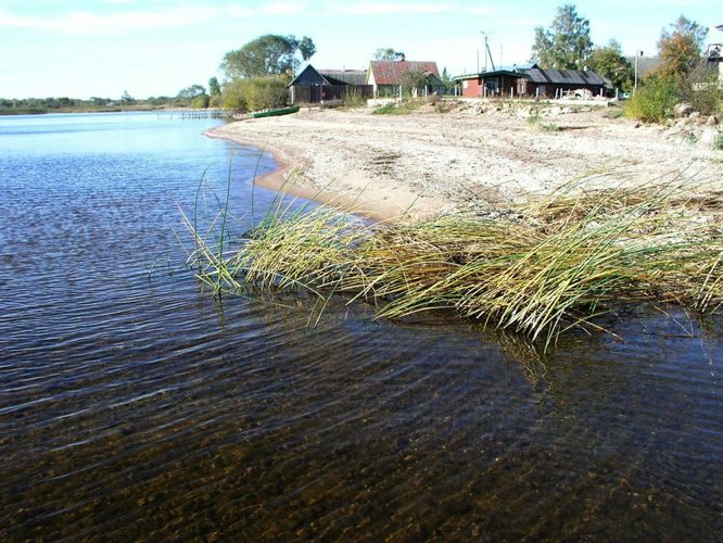 Maakond: Tartumaa Veekogu nimi: Peipsi järv Pildistamise aeg: 5. oktoober 2005 Pildistaja: H. Timm Pildistamise koht: teadmata Asimuut: