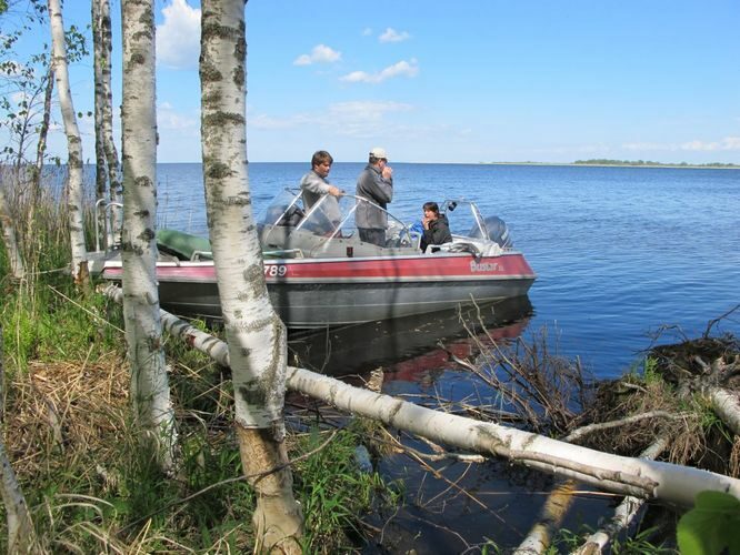 Maakond: Tartumaa Veekogu nimi: Peipsi järv Pildistamise aeg: 28. mai 2012 Pildistaja: H. Timm Pildistamise koht: Pedaspää kurm Asimuut: