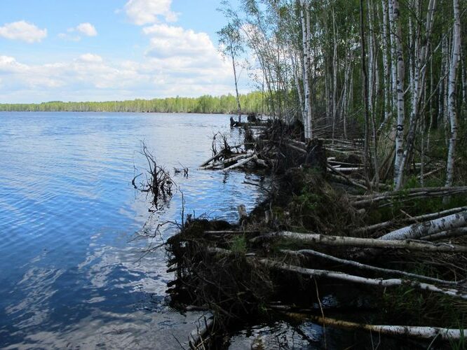 Maakond: Tartumaa Veekogu nimi: Peipsi järv Pildistamise aeg: 28. mai 2012 Pildistaja: H. Timm Pildistamise koht: Pedaspää kurm Asimuut: