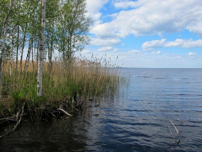 Maakond: Tartumaa Veekogu nimi: Peipsi järv Pildistamise aeg: 28. mai 2012 Pildistaja: H. Timm Pildistamise koht: Pedaspää kurm Asimuut: