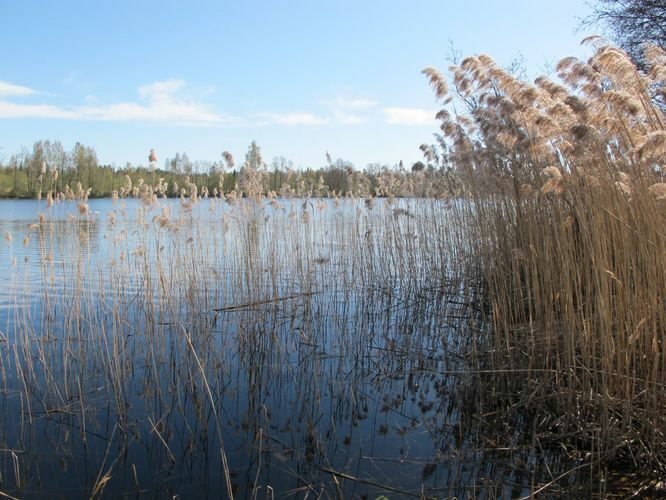 Maakond: Valgamaa Veekogu nimi: Pikrejärv Pildistamise aeg: 2. mai 2012 Pildistaja: H. Timm Pildistamise koht: teadmata Asimuut: