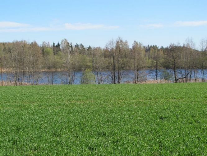 Maakond: Valgamaa Veekogu nimi: Pikrejärv Pildistamise aeg: 2. mai 2012 Pildistaja: H. Timm Pildistamise koht: teadmata Asimuut: