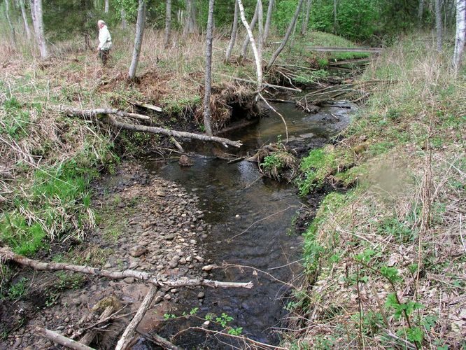 Maakond: Tartumaa Veekogu nimi: Piigandi oja Pildistamise aeg: 14. mai 2006 Pildistaja: H. Timm Pildistamise koht: teadmata Asimuut: