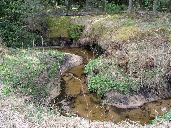 Maakond: Tartumaa Veekogu nimi: Piigandi oja Pildistamise aeg: 14. mai 2006 Pildistaja: H. Timm Pildistamise koht: teadmata Asimuut: