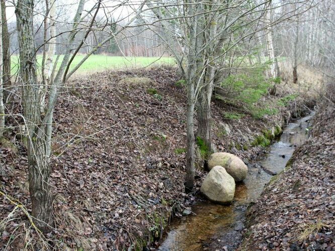 Maakond: Tartumaa Veekogu nimi: Piigandi oja Pildistamise aeg: 9. detsember 2006 Pildistaja: H. Timm Pildistamise koht: Maarja-Ado tee Asimuut: