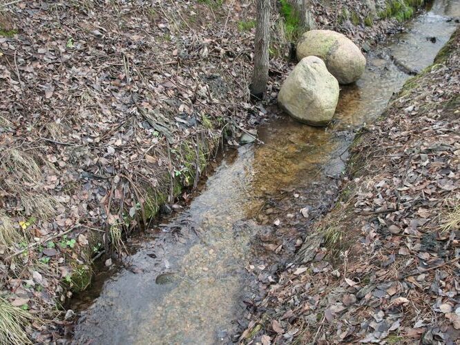 Maakond: Tartumaa Veekogu nimi: Piigandi oja Pildistamise aeg: 9. detsember 2006 Pildistaja: H. Timm Pildistamise koht: Maarja-Ado tee Asimuut: