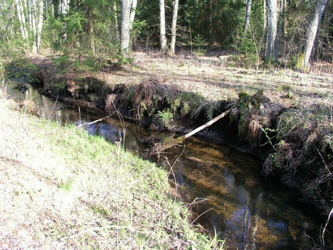 Maakond: Tartumaa Veekogu nimi: Piigandi oja Pildistamise aeg: 6. mai 2007 Pildistaja: H. Timm Pildistamise koht: teadmata Asimuut: