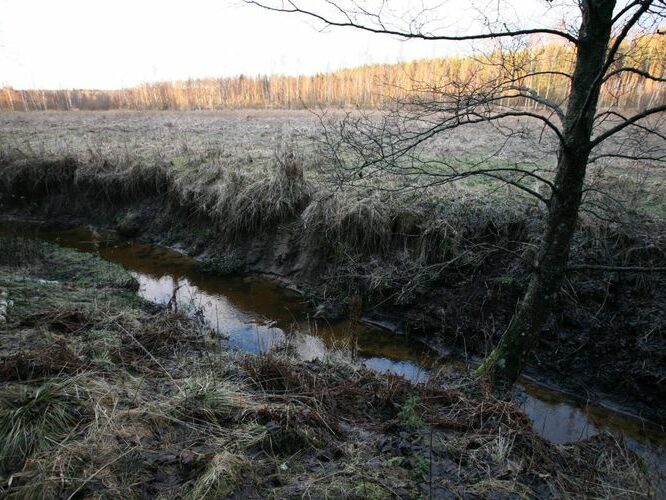 Maakond: Tartumaa Veekogu nimi: Piigandi oja Pildistamise aeg: 20. jaanuar 2008 Pildistaja: H. Timm Pildistamise koht: keskjooks Asimuut: