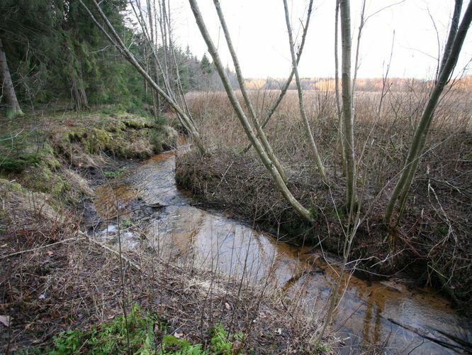 Maakond: Tartumaa Veekogu nimi: Piigandi oja Pildistamise aeg: 20. jaanuar 2008 Pildistaja: H. Timm Pildistamise koht: keskjooks Asimuut: